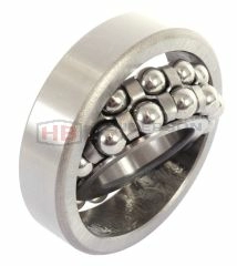1309K Self Aligning Ball Bearing (Tapered Bore) 45x100x25mm
